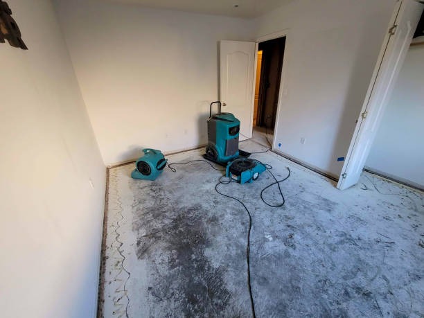 Reliable HVAC Near Me Services for Efficient Home Climate Control