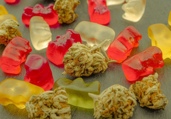 Exploring the Strongest Live Rosin Gummies on the Market