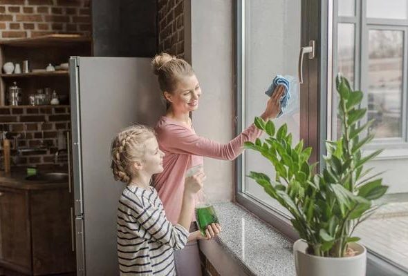 Professional Gutter Cleaning Mesa Services for Safer Properties