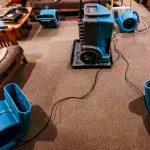 Reliable Water Damage Restoration Services in Chicago for Homes and Businesses