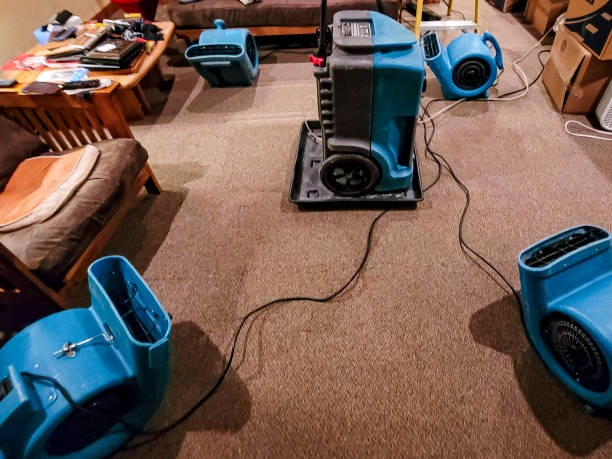 Reliable Water Damage Restoration Services in Chicago for Homes and Businesses