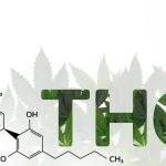 Finding Quality THCA Products in Austin