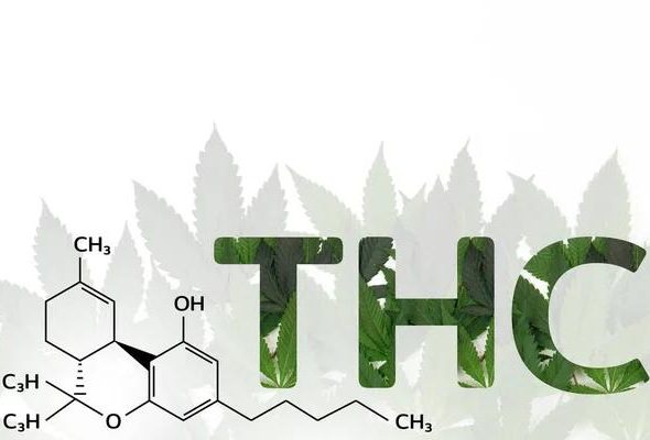 Finding Quality THCA Products in Austin